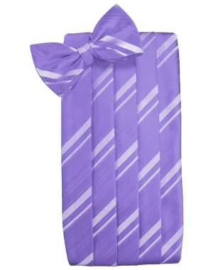 Freesia Striped Satin Cummerbund