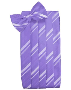 Freesia Striped Satin Cummerbund